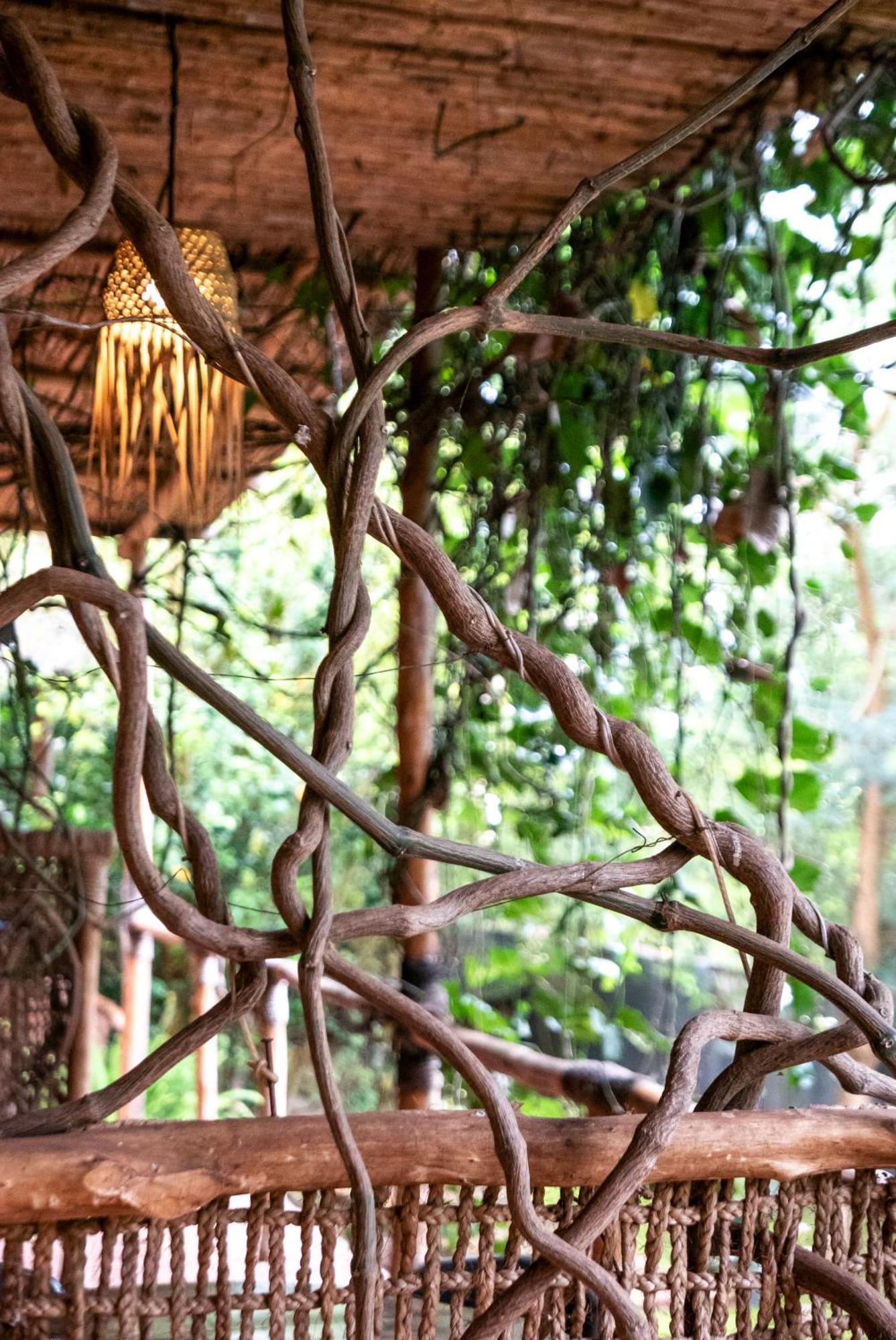 Akagera Transit Lodge Exterior photo