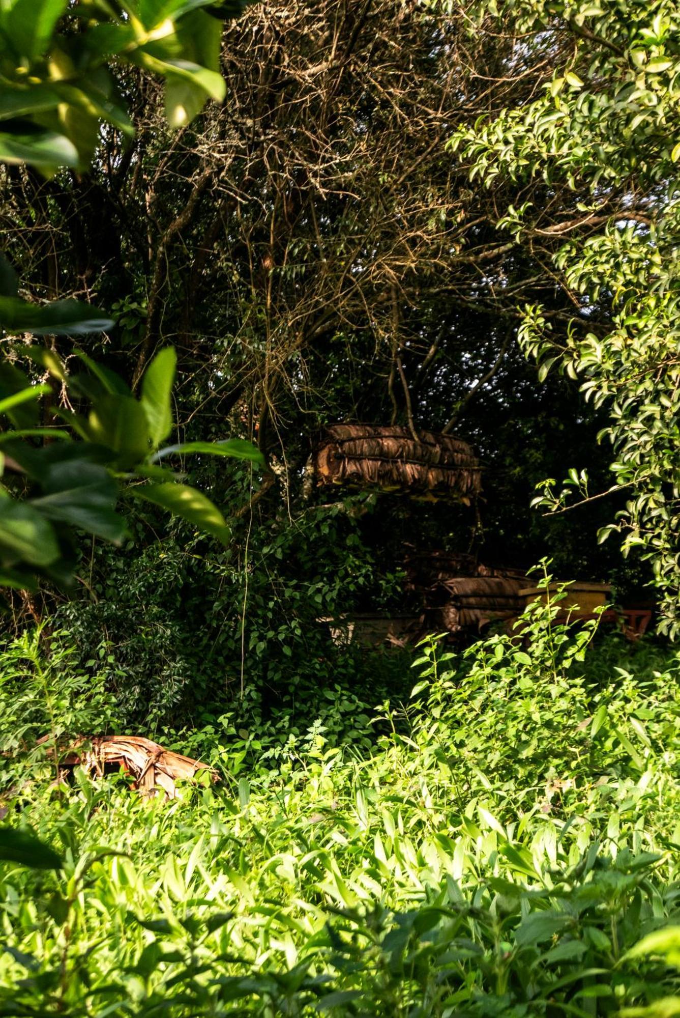 Akagera Transit Lodge Exterior photo